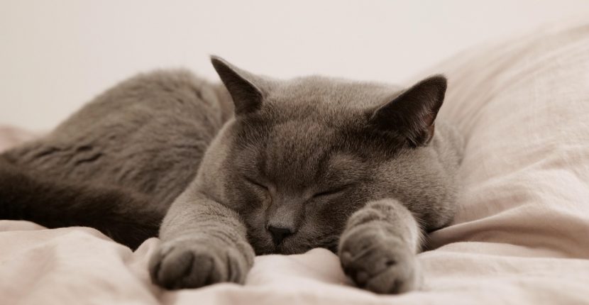 Musik-Relaksasi-Musik-Tidur
