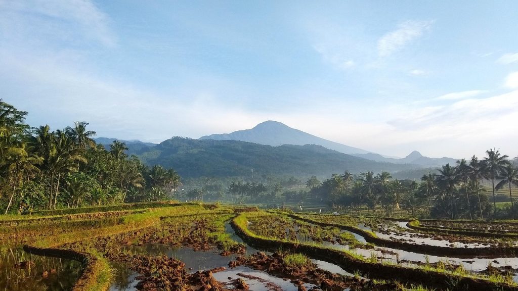 Musik Relaksasi Suara Alam