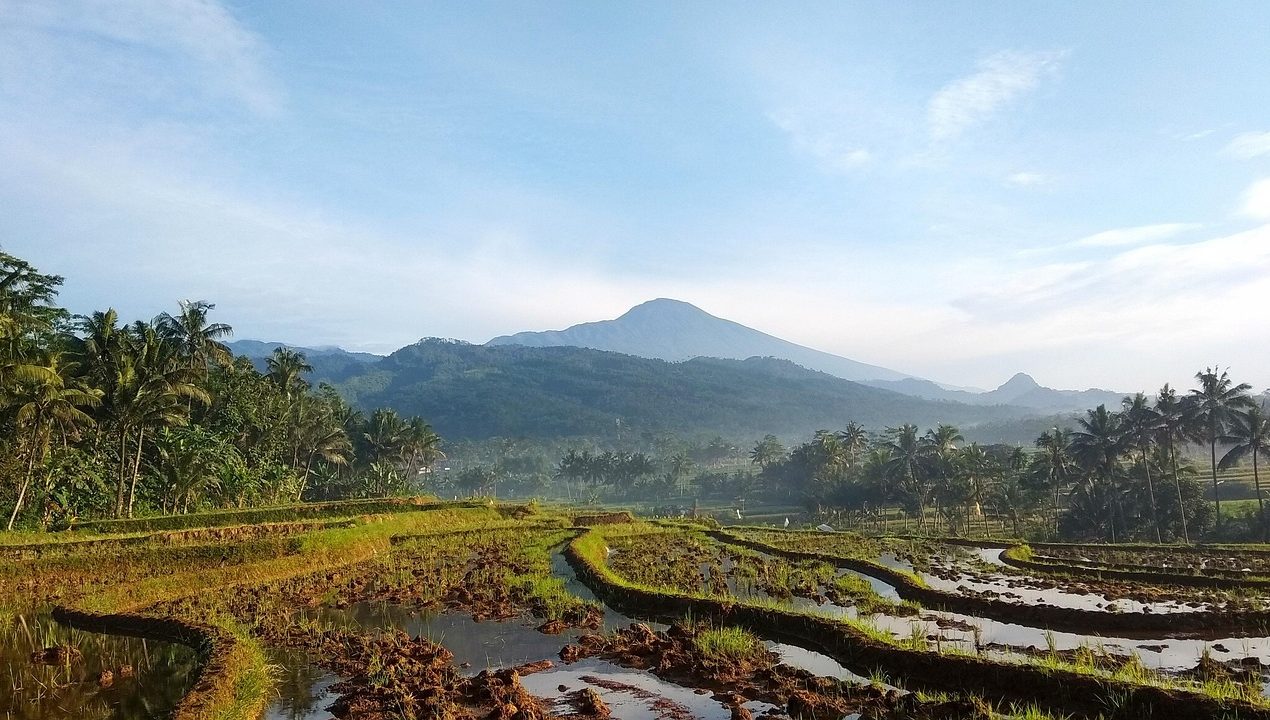 Musik Relaksasi Suara Alam