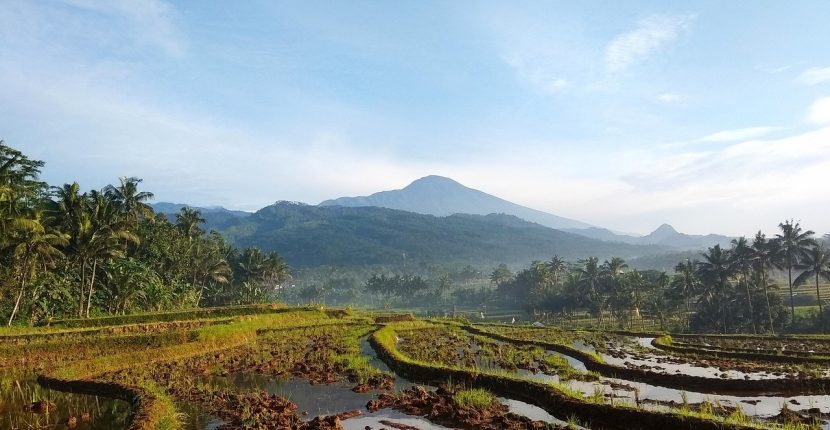 Musik Relaksasi Suara Alam